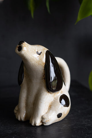 The Quirky Spotted Dog Pitcher Jug on a black surface with a plant in the background.