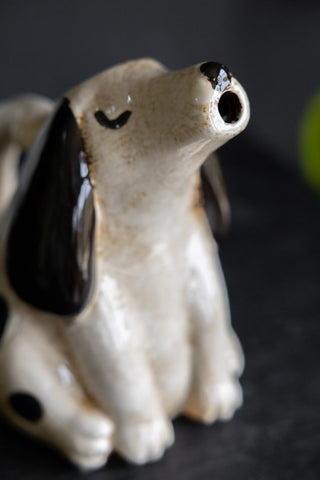 Close-up of the face of the Quirky Spotted Dog Pitcher Jug.