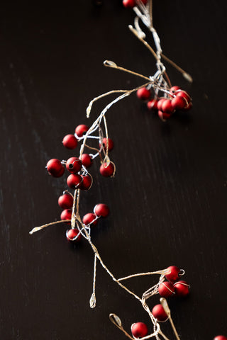 Red berries on a light chain with the fairy lights turned off.