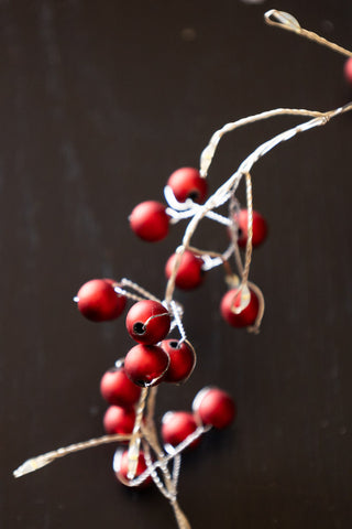 Detail image of the red berries on a light chain.