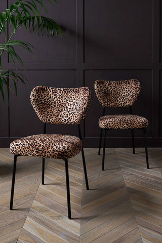 The Set Of 2 Dining Chairs In Leopard Print Velvet on a wooden floor in front of a black wall, styled with a large plant.