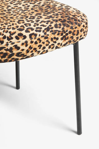 Close-up of the seat/legs of a leopard print dining chair, on a plain background.