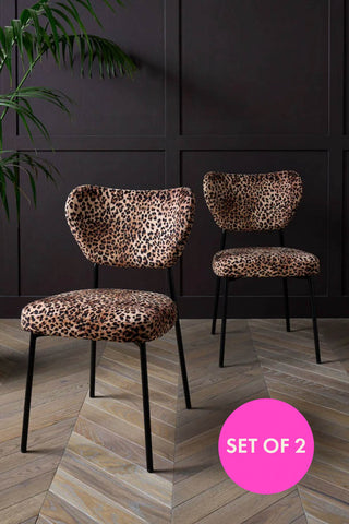 Set of two stunning leopard print dining chairs in a dark room with panelling and house plants.