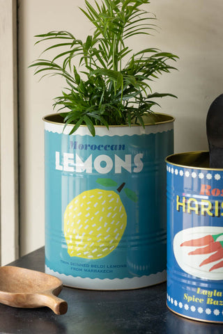 The Set Of 2 Lemon & Harissa Storage Tins - Large displayed on a sidebaord with a plant and utensils inside.