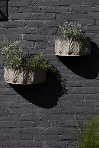 The Set of 2 Rustic Wall Planters on a dark brick wall with plants in.