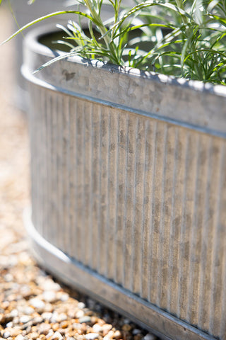 Detail shot of one of the Set of 3 Antiqued Planters.