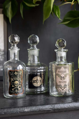 The Set of 3 Apothecary-Style Poison Decanter Bottles styled on a black surface with a plant in the background.