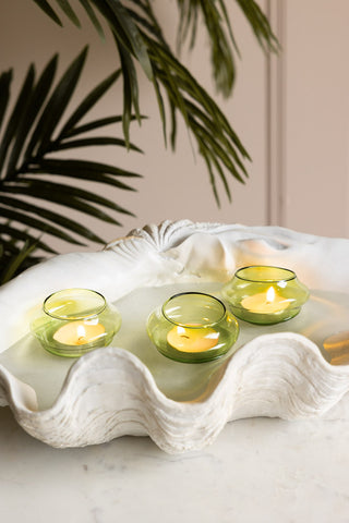 The Set Of 3 Pale Green Glass Tea Light Holders with lit tealights inside, floating inside a white clam shell dish with a plant in the background.