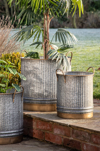 The Set of 3 Industrial Style Iron Planters styled on some steps outdoors, with various plants inside.