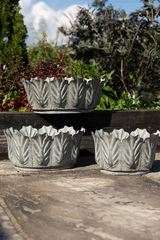 The Set of 3 Petal Antiqued Planters displayed on a garden patio, with one on a beam of wood.