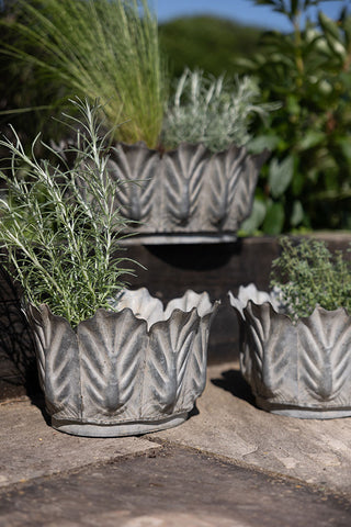 The Set of 3 Petal Antiqued Planters displayed on a garden patio, styled with various plants.