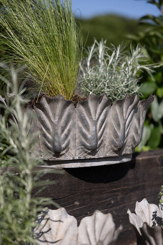 Detail shot of one of the Set of 3 Petal Antiqued Planters, styled with various plants.