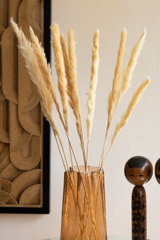 Short Natural Pampas Grass Bunch shot against a light wall in an amber vase with art behide.