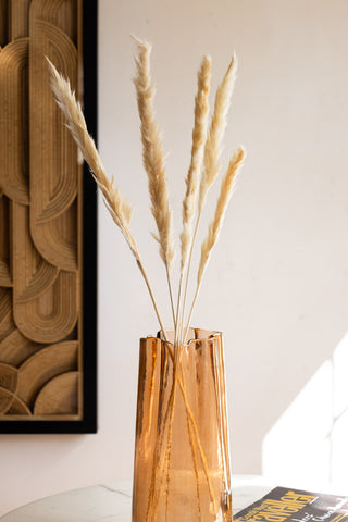 Short Natural Pampas Grass Bunch shot against a light wall in an amber vase with art behind.