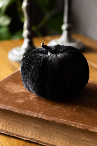 Small Black Velvet Pumpkin on book