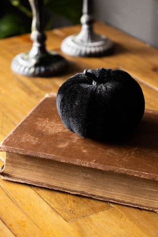 Small Black Velvet Pumpkin on book