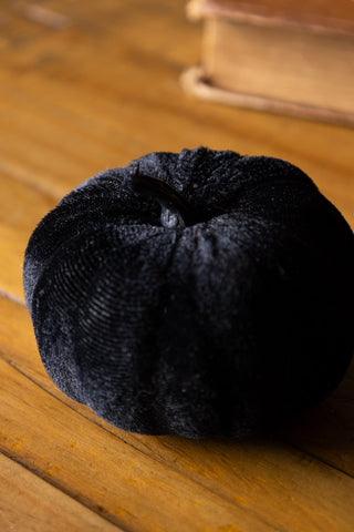 Small Black Velvet Pumpkin detail