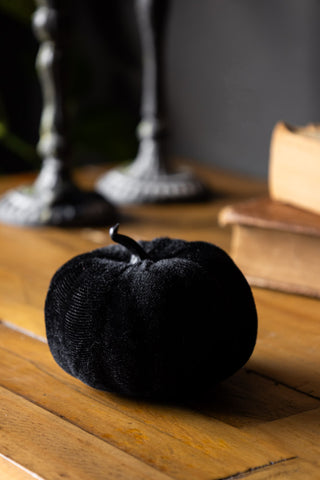 Small Black Velvet Pumpkin 