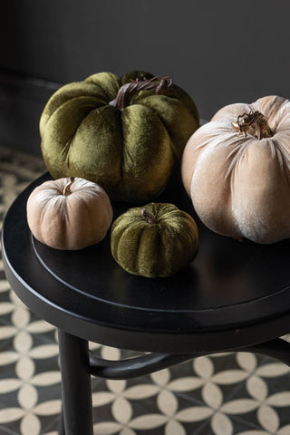 Four velvet Halloween pumpkin decorations in cream and green, styled on a black side table.