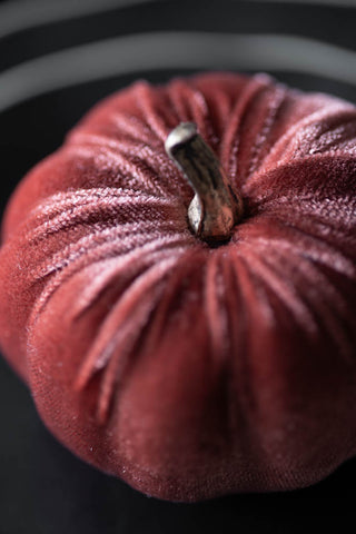 Close-up of the top of the Small Dusky Rose Velvet Pumpkin.