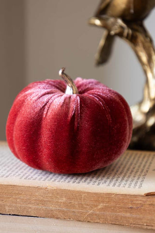 The Small Dusky Rose Velvet Pumpkin styled on an open book.