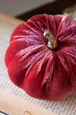 Close-up of the Small Dusky Rose Velvet Pumpkin seen from above, styled on the page of a book.