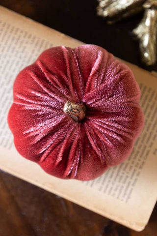 Aerial view of the Small Dusky Rose Velvet Pumpkin, styled on an open book.