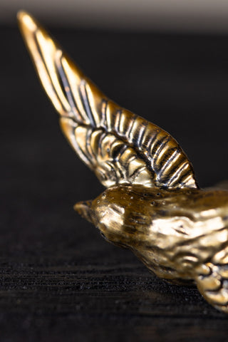 Detail shot of the wing of the Swallow Bird Knob - Gold.