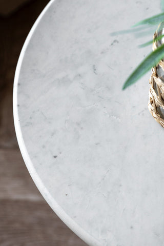 Close-up of the top of the Blue Tapered Glass & Marble Side Table styled with a plant on.