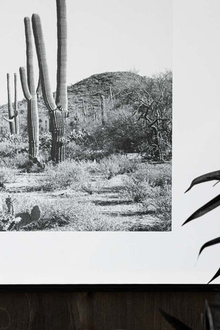 Close-up of the Wild West Cactus Art Print with a plant in the corner of the shot.