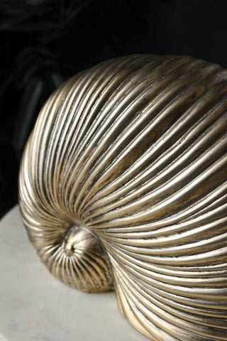 Image of the Brushed Gold Faux Sea Shell Ornament