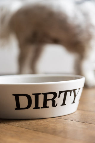 Close-up image of the Dirty Dog Pet Bowl - 2 Available Sizes