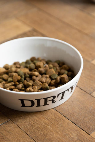 Dirty Dog Pet Bowl - 2 Available Sizes