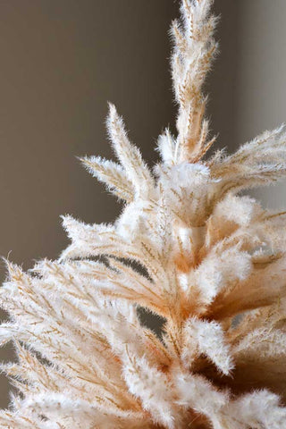 Image of the top of the Small Faux Pampas Grass Christmas Tree