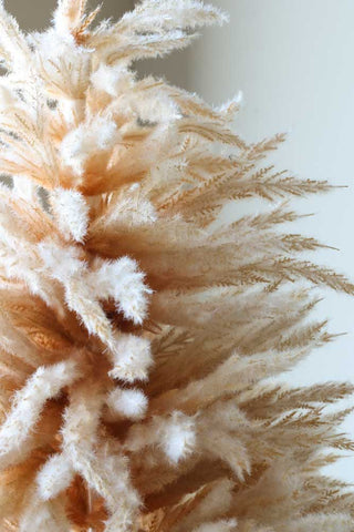 Image of the colour for the Small Faux Pampas Grass Christmas Tree