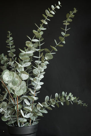 Image of the Faux Eucalyptus Plant In Pot