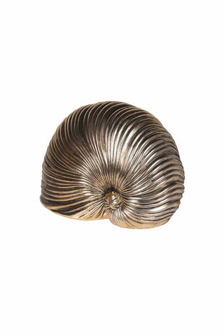 Image of the Brushed Gold Faux Sea Shell Ornament on a white background