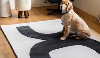 The Abstract Canvas Rug - 3 Sizes Available displayed on a living room floor with a dog sitting on it.