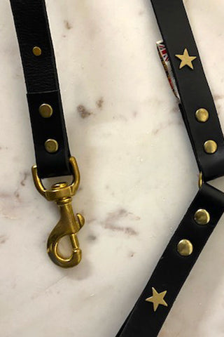 The gold clip of the black and gold stars dog lead. You can also see the studding detail on the lead.