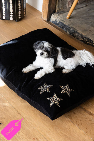 Black dog bed with leopard stars in the corner. The dog is sat on the bed and there is an outlet sticker in the corner.