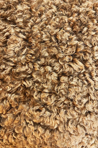 Detail of the brown fluffy cushion.