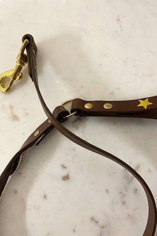 Beautiful brown leather lead with gold star studs and gold studs.