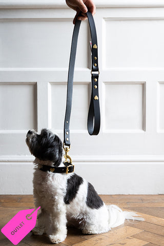 A black leather heart lead being held by a human with a dog sat in a good boy pose below.