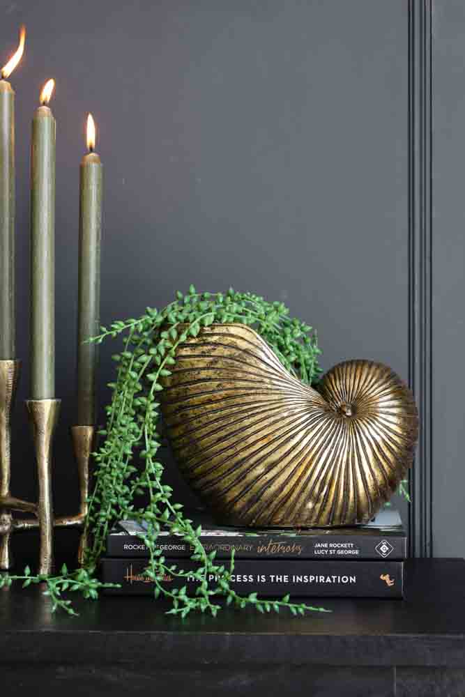 Brass Nautilus Shell, Gold Brass Shell, Interior Design, Shell Planter -   Canada